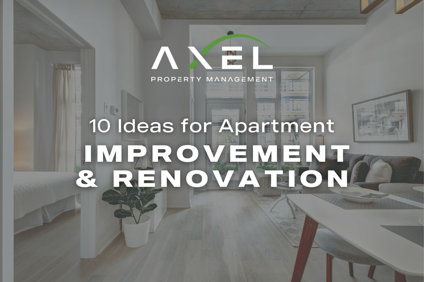 10 Ideas for Apartment Improvement & Renovation